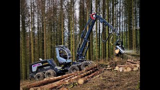 🌲Harvester • Logset 8H GTE • in Action • Tschechenloggers • Part2🌲 [upl. by Jea]