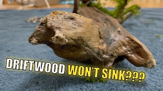 How To Make Stubborn Driftwood Sink In Fish Tank MY TAKE [upl. by Kcirtap]