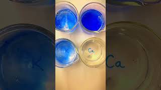 Reaction of Alkali amp Alkaline earth metal with water See the wild reactions😱 science chemistry [upl. by Adikram194]