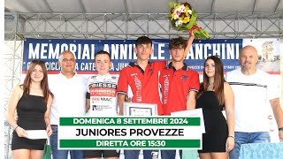 DIRETTA  Memorial Annibale Franchini 2024 [upl. by Ynabe]