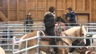 Ed Dabneys Six Keys To Harmony and Cow clinic at Finland [upl. by Eciryt485]