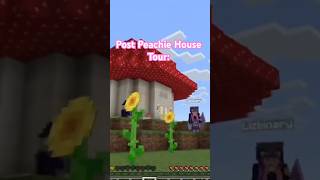 NOTHING TO SEE HEREsorry peachie🔨🪵 youtube minecraft smp youtubeshorts minecraftshorts [upl. by Llenrup]