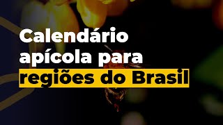 Calendário apícola para cada região do Brasil [upl. by Mik]