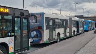 Ljubljanski potniški promet  Linija 6 Črnuče  Dolgi most P  R 🚍 part1 [upl. by Avihs]