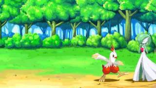 Pokemon Type Wild  Combusken Hard Mode [upl. by Eednarb]