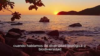 Diversidad biológica y Sostenibilidad ambiental [upl. by Nerrol]