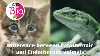 Difference between Ectothermic and Endothermic animals by Simply The Best BIO [upl. by Nnaitsirk]