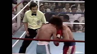 Salvador Sanchez vs Wilfredo Gomez  The Battle of the Little Giants  1080p 60FPS  Highlights [upl. by Auberbach530]