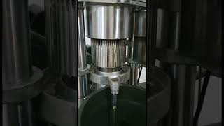 hydraulic oil press machine cold press sacha inchi seeds oil coldpressoilmachineoilpresser [upl. by Cleveland421]