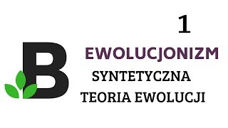 syntetyczna teoria EWOLUCJI  ewolucjonizm  KOREPETYCJE z BIOLOGII  172 [upl. by Mata260]