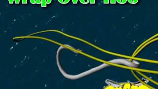 How to tie the Palomar Fishing knot Palomar Knot animation [upl. by Jonah]