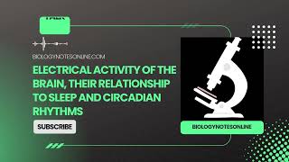 Electrical activity of the brain their relationship to sleep and circadian rhythms [upl. by Killy227]