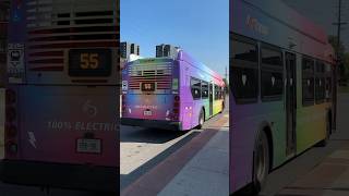 OC Transpo 2101  Pride Livery [upl. by Malinowski]