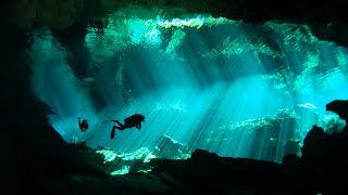 Diving the Mexico Yucatan Cenotes  Highlights HD [upl. by Keverian150]