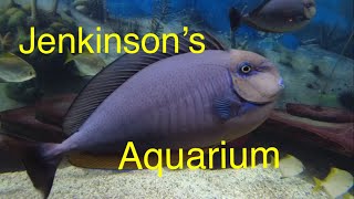 Jenkinson’s Aquarium in Point Pleasant NJ [upl. by Aedrahs]