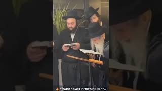 Amshinov Rebbe Doing Tashlich  האדמו”ר מאמשינוב במנהג תשליך [upl. by Norrat]