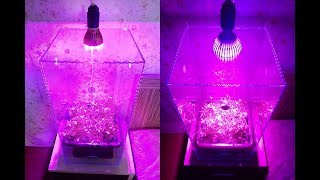 Бокс для выращивания из МПК 60х30х30см и лампа 13p Grow BOX [upl. by Iras]