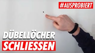 Dübellöcher schließen Kann jeder 👍 ✅ [upl. by Annazus671]