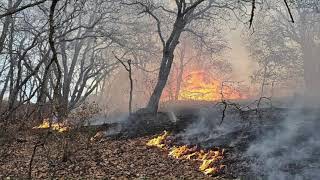 Sesión Recurso Mitigar Incendio [upl. by Eisyak]