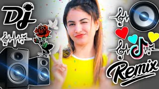 Munda Gora Rang Dekh Ke Diwana Ho Gaya ❣️❣️ Dj Song💙  Old Hindi Dj Song 🥀  Dj Remix Song 2024 [upl. by Sara908]