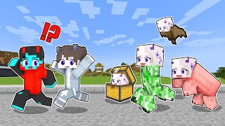 Best of Minecraft  Morphing Mod Prank [upl. by Epifano]