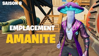 Où Trouver Amanite  Emplacement Fortnie Saison 8 [upl. by Ittak180]