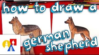 How To Draw A German Shepherd [upl. by Ellehsim]