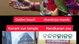 Tourism places in ODISHA jagannathpuri video viralvideo tourism youtube [upl. by Niloc]