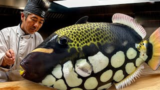 Discover cuisine how Japans number one chef turns Parrot Fish into delicious sashimi [upl. by Utta]