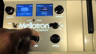 Mellotron 4000D Mini First Look [upl. by Lefkowitz431]