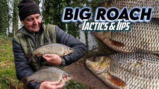 BIG Roach Fishing  Tactics amp Tips [upl. by Earezed]