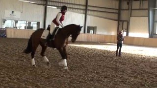 Ingrid Klimke Clinic 2015 Canter Work [upl. by Aicenav]