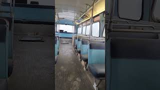 Vintage Antique Transit Bus Calgary dieselengine TwoStrokeDiesel [upl. by Kennett]