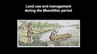 Land use and management during the Mesolithic period [upl. by Aticilef]