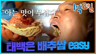 밥친구 1박2일 시즌1 58화 호동의 쌈마이웨이 밥 to the 차를 위한 8시간 대장정ㅠㅠ 태백은 배추쌈easyㅋㅋㅋ  KBS 080914 방송 [upl. by Earla]