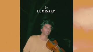 joel sunny  luminary original song  official audio [upl. by Bick]