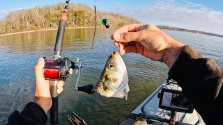 4 Hours of RAW and UNCUT Kayak Catfishing  Dragging Cut Bait on the Tennessee River [upl. by Ardyaf]