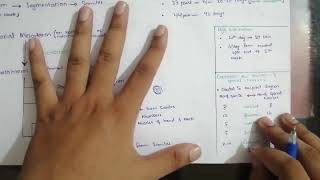 Formation of Somites Embryology 1  Paraxial Mesoderm  Easiest way to Remember [upl. by Phyl199]