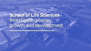 Investigating barley growth and development [upl. by Rekab]