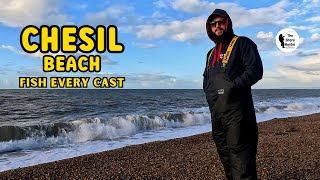 Chesil Beach UK Beach Fishing Wayne Hand 4K [upl. by Moguel209]