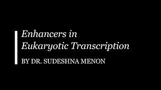 Enhancers in Eukaryotic Transcription [upl. by Yelsa358]