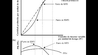 Producción Funciones y caso práctico de productividad [upl. by Riabuz342]