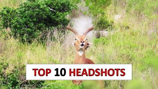 10 Insane Hunting Headshots  Vol 3 [upl. by Eittam]