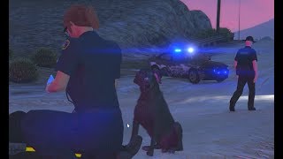 Fire Dog Saves Vandal GTA RP  SAF 9 [upl. by Leandre777]