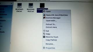 Java file not opening Linux 2024 [upl. by Finnigan372]