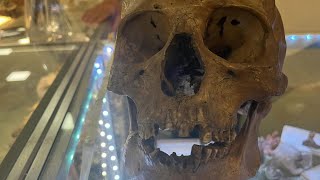 Human Skull Found for Sale in Antiques Market [upl. by Rett492]