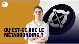 Questce que le métabonding  Elrond EGLD [upl. by Maurilla]