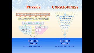 Is Consciousness The Unified Field [upl. by Sirahc]