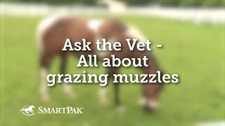 Ask the Vet  All about grazing muzzles [upl. by Hedvige]