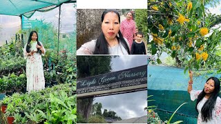 Nursery visit upper shillongShillong vlogMeghalaya [upl. by Emmer]